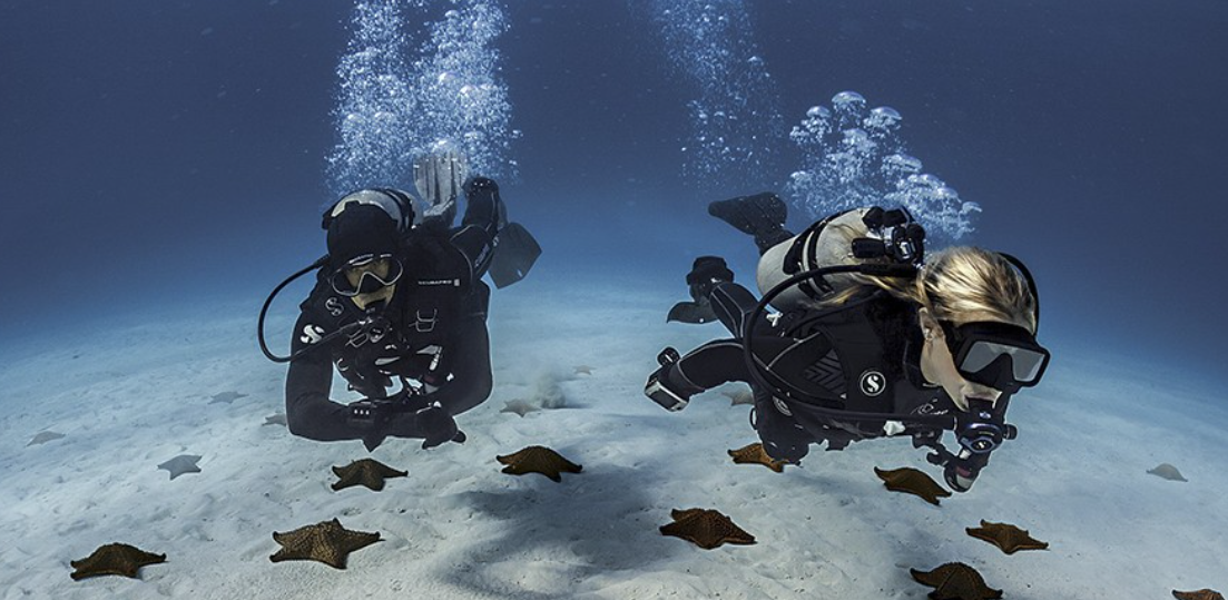 NAUI Open Water Diver